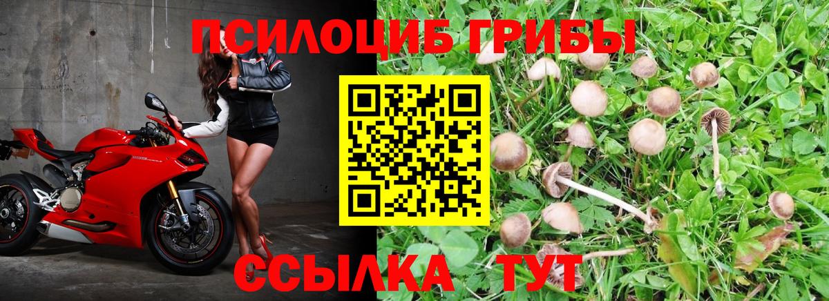цены   Псилоцибиновые грибы мухоморы  Вход с VPN  Нижний Тагил 